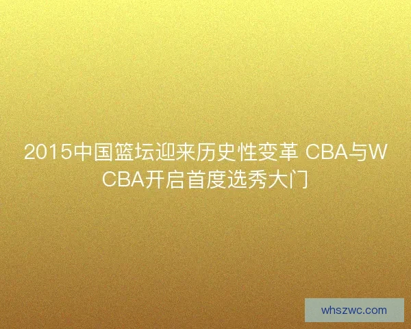 2015中国篮坛迎来历史性变革 CBA与WCBA开启首度选秀大门