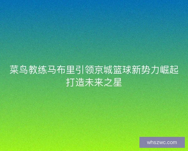 菜鸟教练马布里引领京城篮球新势力崛起打造未来之星
